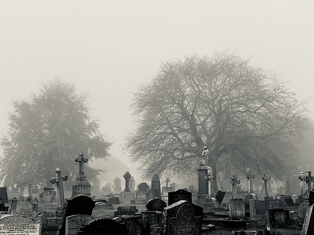 Black and grey photo of a graveyard, featuring several tombstones and monuments in the foreground and bare trees in the background.
